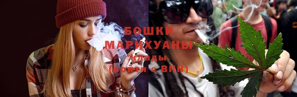 молекула духа Гусиноозёрск