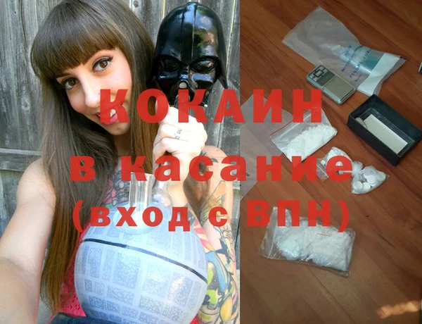 шишки Гусь-Хрустальный