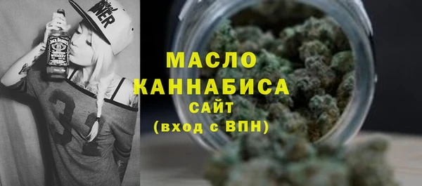 шишки Гусь-Хрустальный