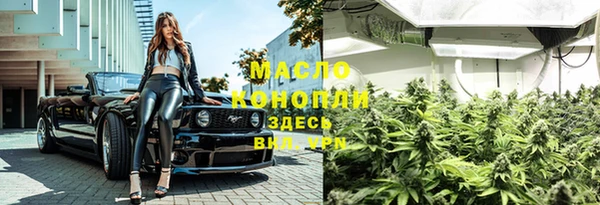 эйфоретик Гусев