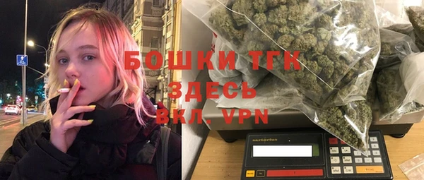 молекула духа Гусиноозёрск
