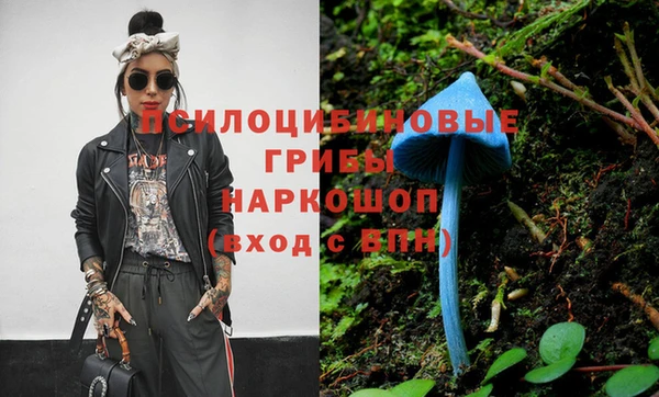 молекула духа Гусиноозёрск