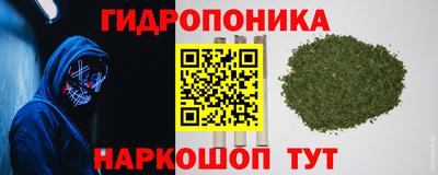 ECSTASY Волгодонск
