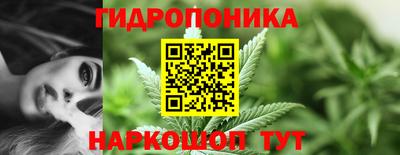 соль ск Бийск