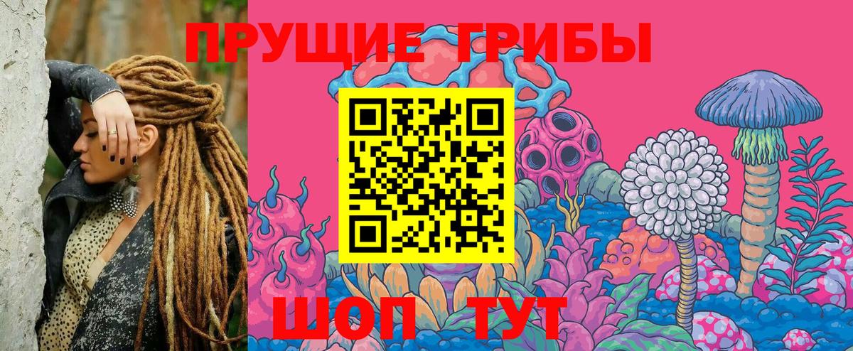 Галлюциногенные грибы Psilocybe  Вход с VPN  Еманжелинск 