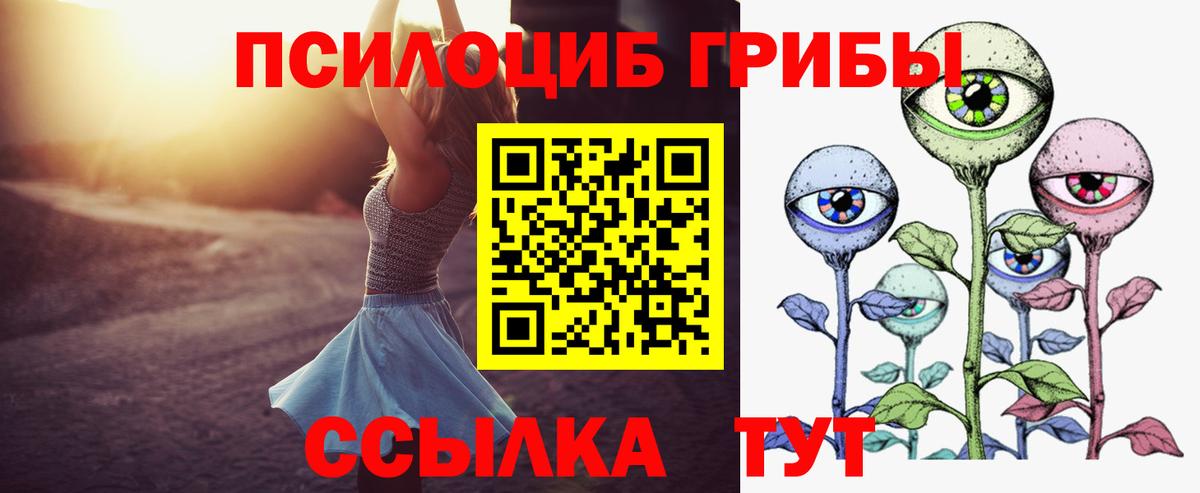 Псилоцибиновые грибы мицелий  Еманжелинск  Галлюциногенные грибы мицелий 